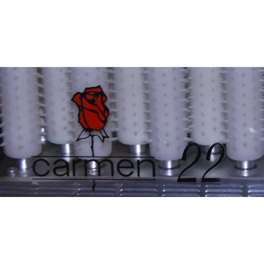 CarmenCurlers22originale-01