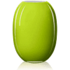 SuperVaselimegrnPietHein-01